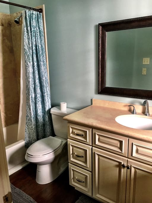 Guest Bathroom