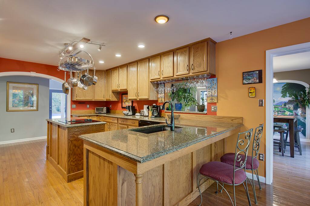 Gourmet kitchen