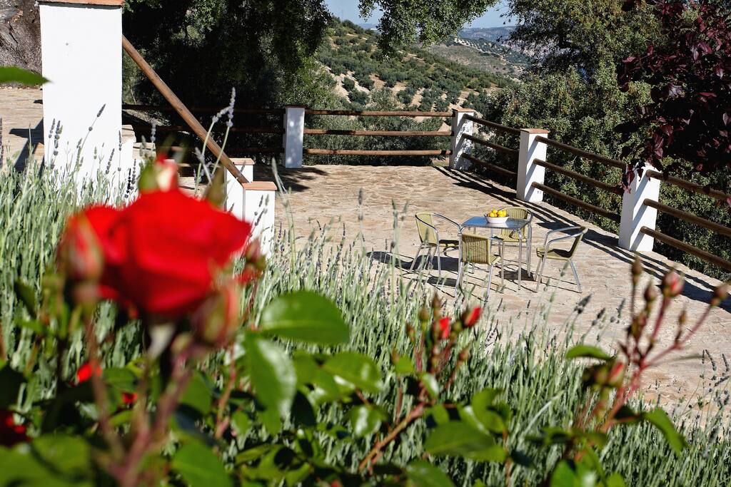 The terraced gardens