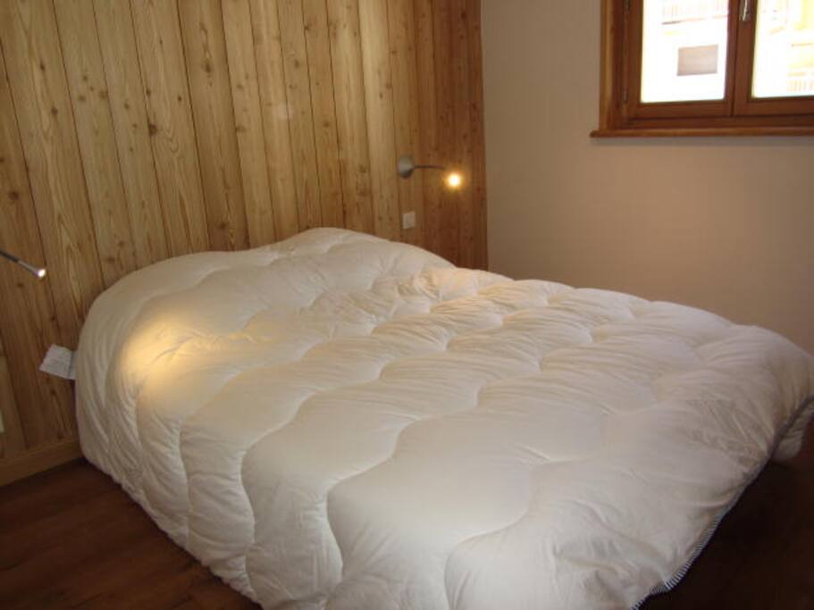 Un grand lit double dans une chambre avec placards