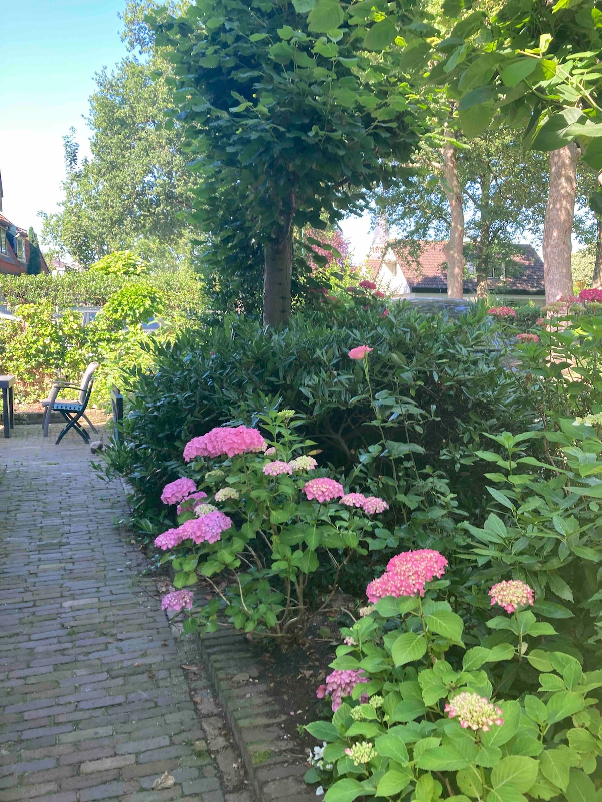 A garden path is surrounded by lush greenery and blooming hydrangeas, displaying soft pink flowers. A small seating area with chairs is visible in the background, set among trees that provide a natural canopy above.