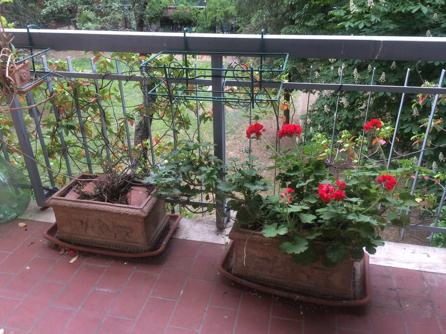 The balcony/la terrazza