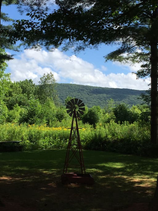 view from backyard