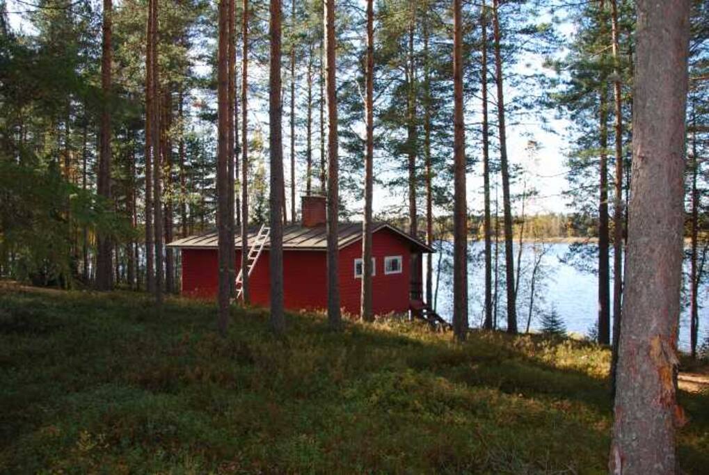 Takapihalla marjametsää