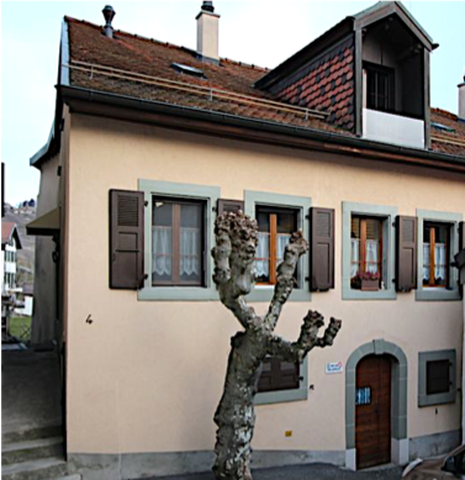 Panoramic Lake Views in the Middle of Wine Country gallery image 2