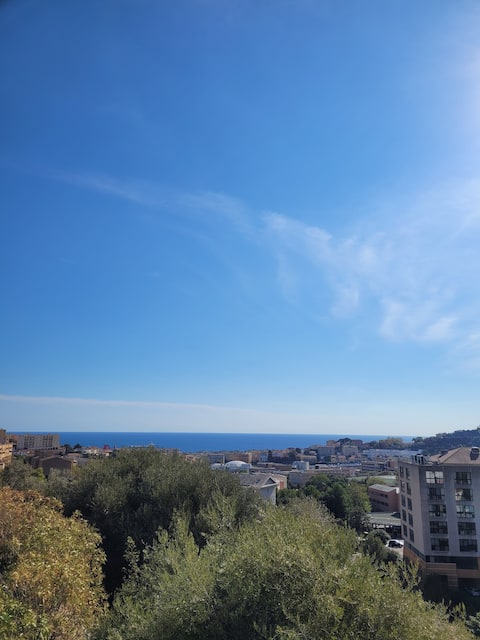 Luxury garden apartment in Bastia city center