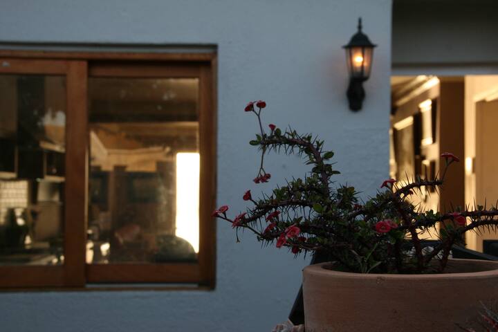 THE LAGOON HOUSE gallery image 4