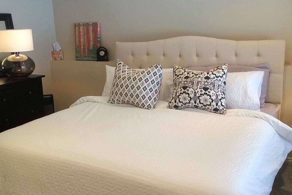 Master bedroom complete with king size intelli mattress. Beautiful morning light and large window opening out to backyard and Salt Lake Valley cityscape.