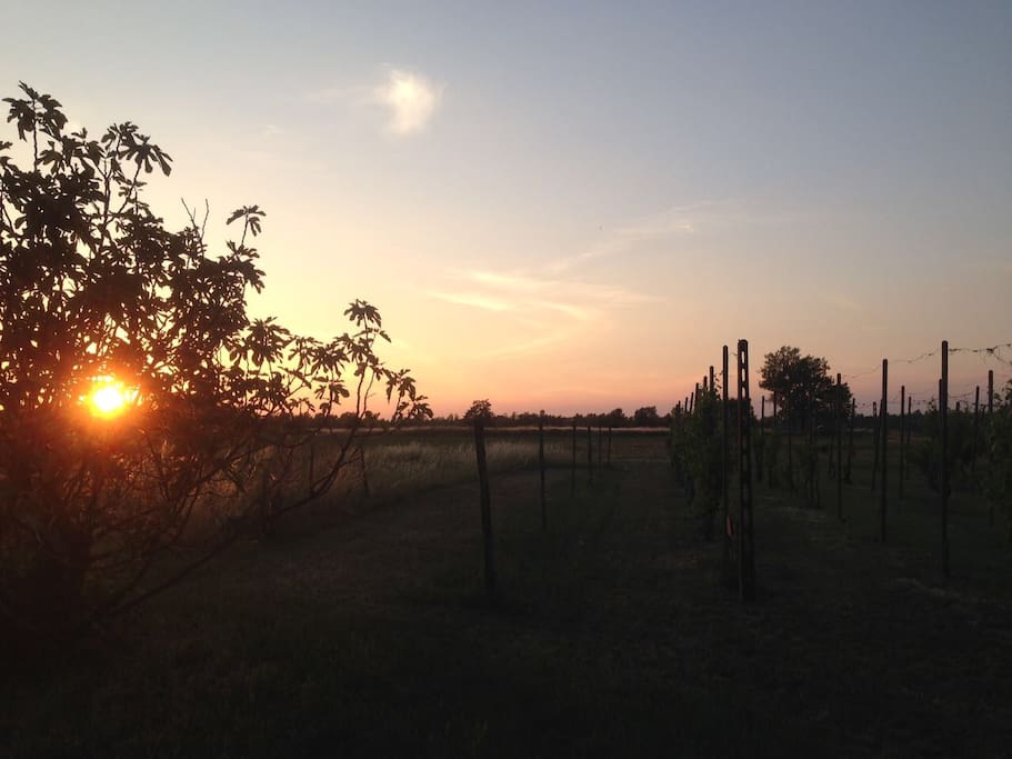 Vista tramonto da cortile 2