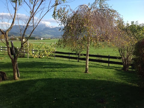 Holiday home Schönhensch in the nice Oberallgäu