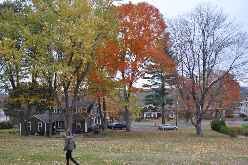 OrchardSlope in full Autumn splendor