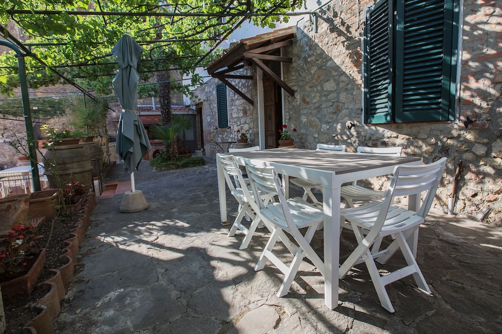 La veranda sotto una pergola di kiwi