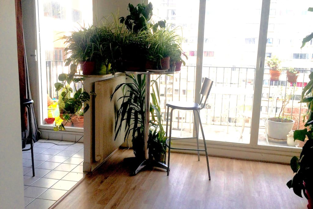 Vivifying green plants and balcony to enjoy sunny breakfast !