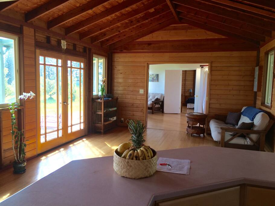 From kitchen into common areas