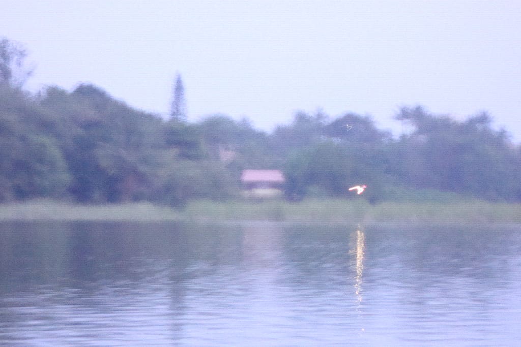 VISTA DA LAGOA - PASSEIO DE CANOA