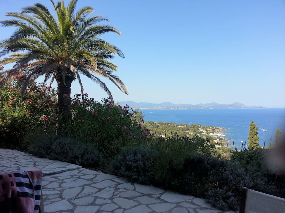 Blick von der Terrasse am Abend