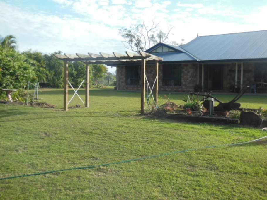 garden in progress