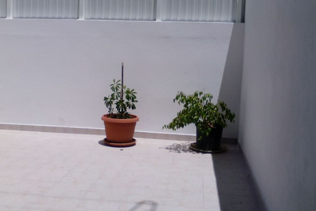 Terrace at your disposal