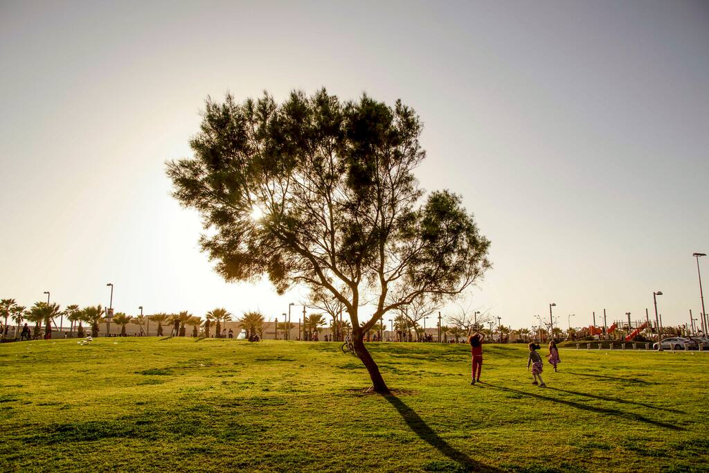Foto de Old North en Tzafon Yashan