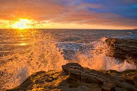 Beautiful Studio in the Heart of San Diego!