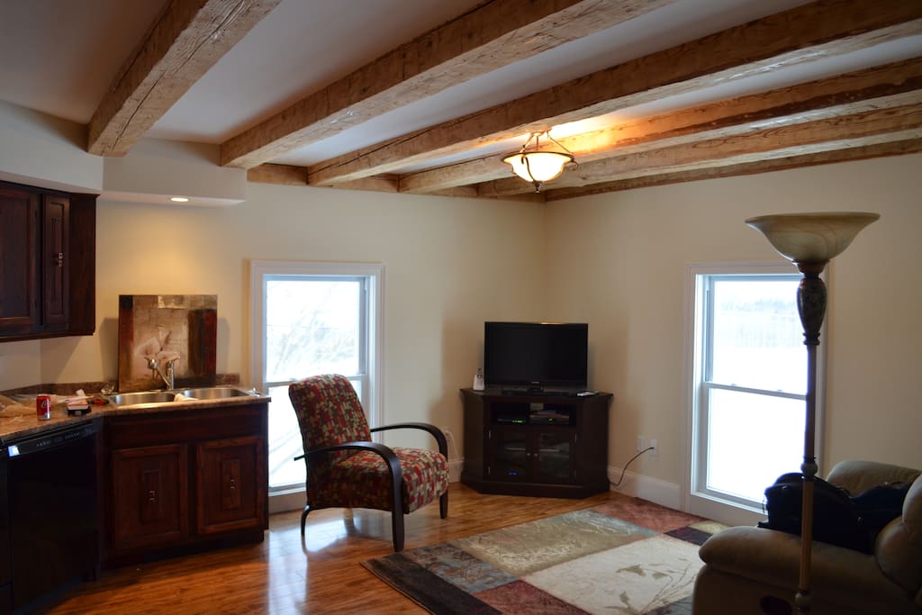 Living room and kitchen