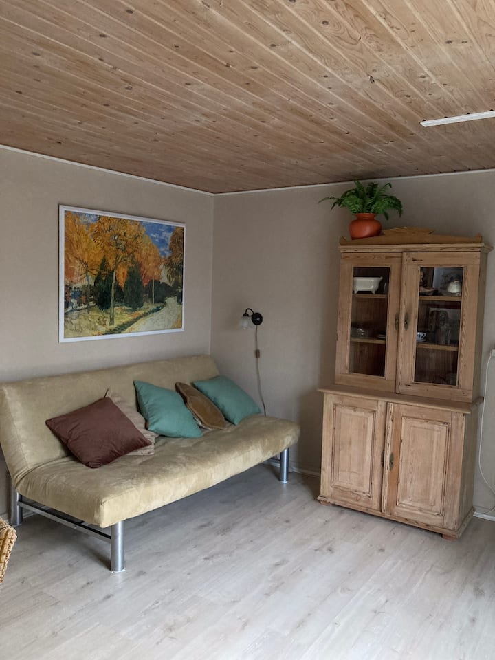 חדר שינה עם ספה נפתחת 