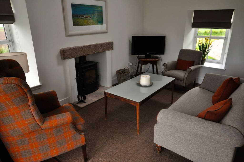 Sitting area with open fire and TV.