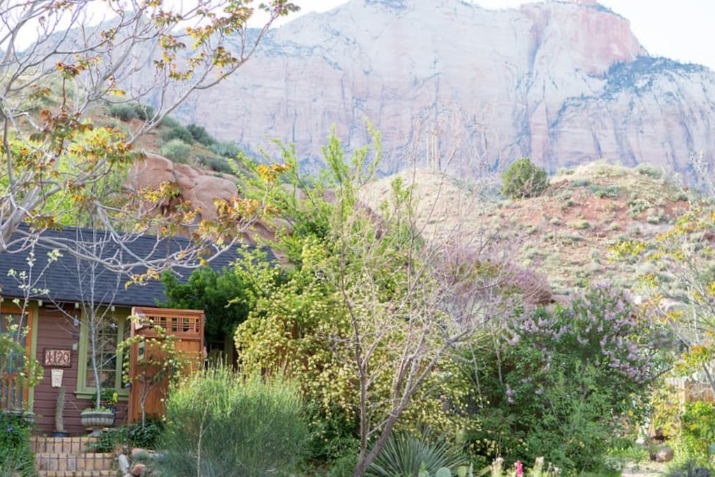 Rose Cottage with Zion in the background