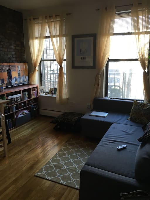 Comfy couch and sunny windows--overlooks community garden