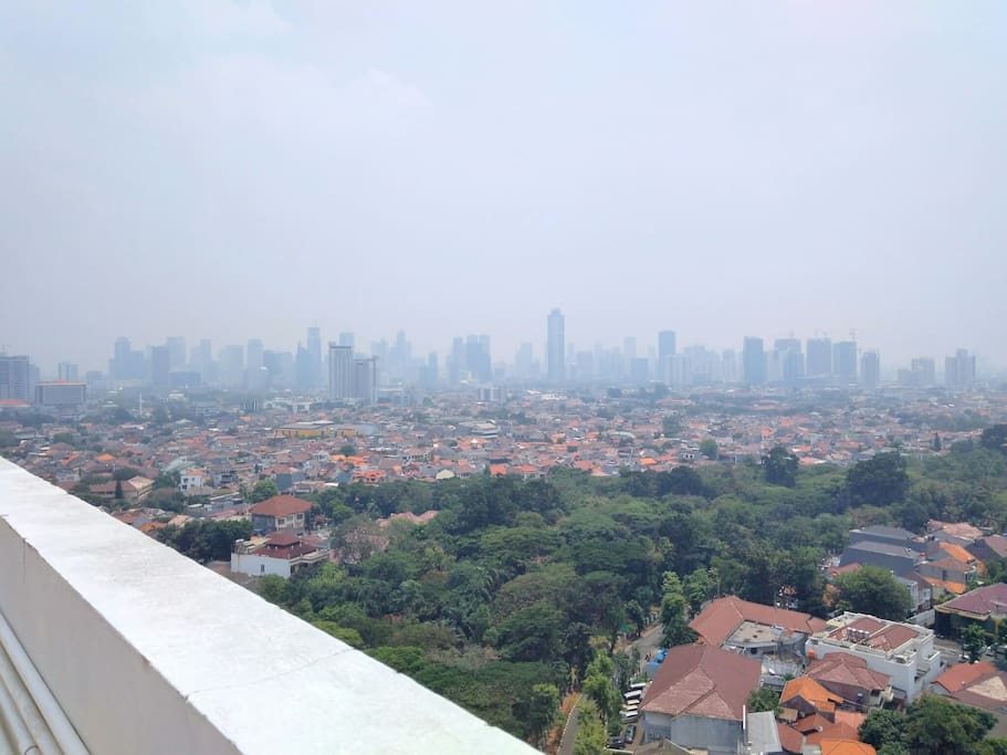 View from the Rooftop