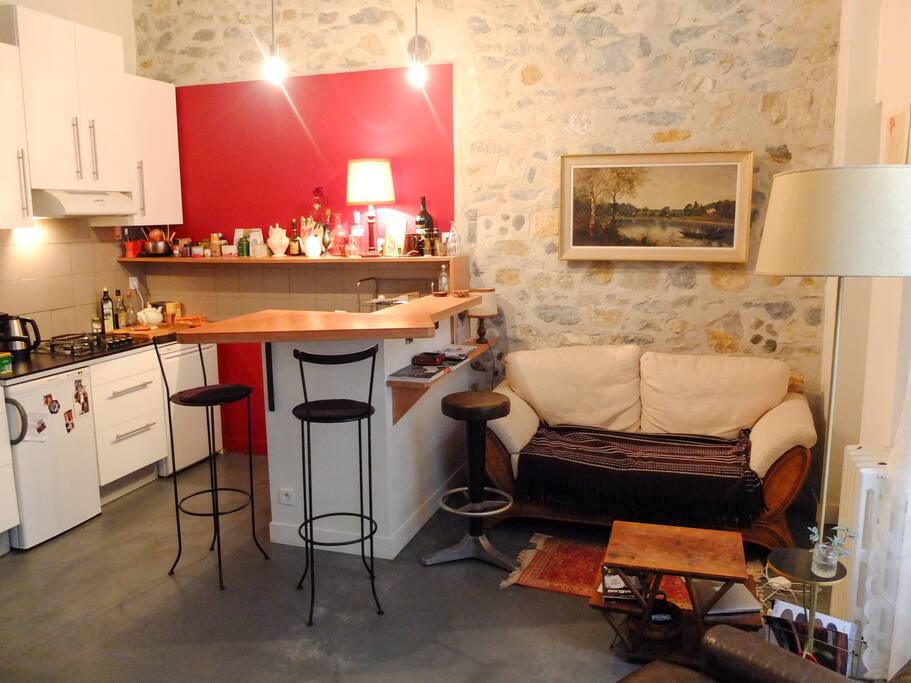 Salon cuisine avec bar
