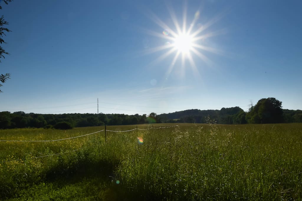 "Just an Ol' Farm House"