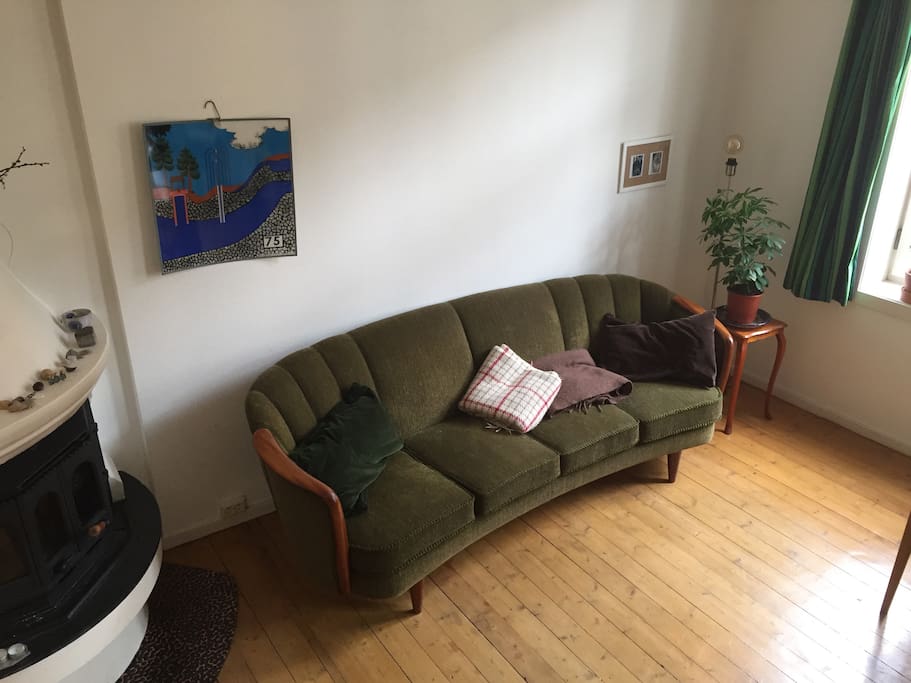 Living room: couch/fire place