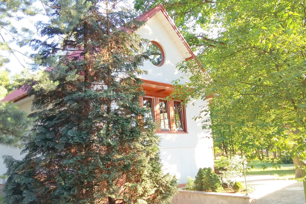 widok elewacji