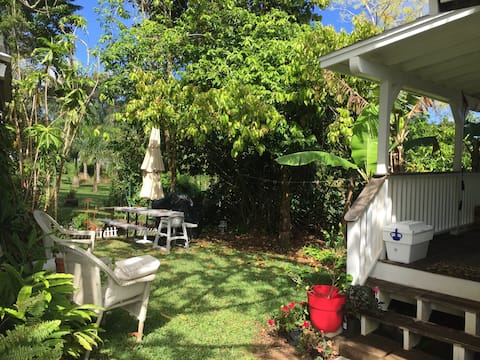 sweet country cottage on 2 acres; palm trees birds