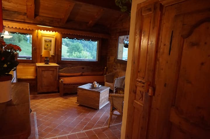 Le Mazot-32m2- - Praz-sur-Arly