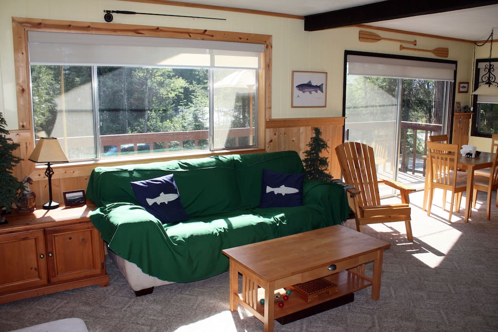 Living area with sleeper sofa