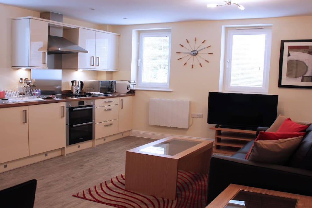 Kitchen/Living Area