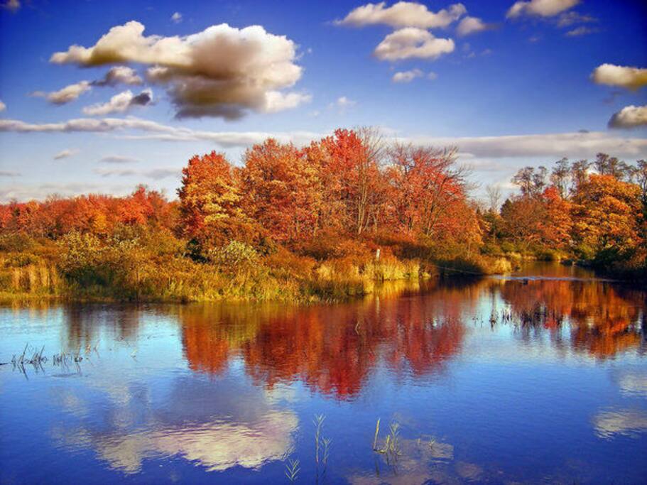 Wild Acres Lake