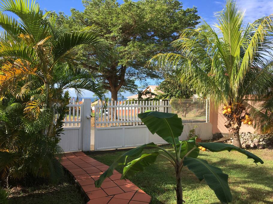 Jardin d'entrée