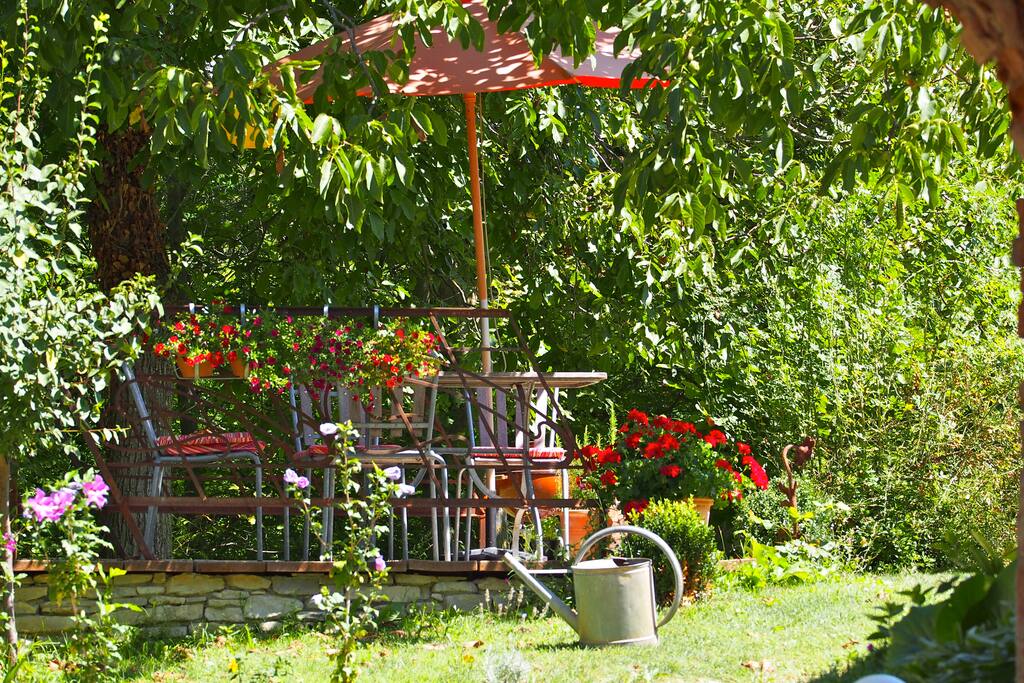 Sitzplatz untem Nussbaum