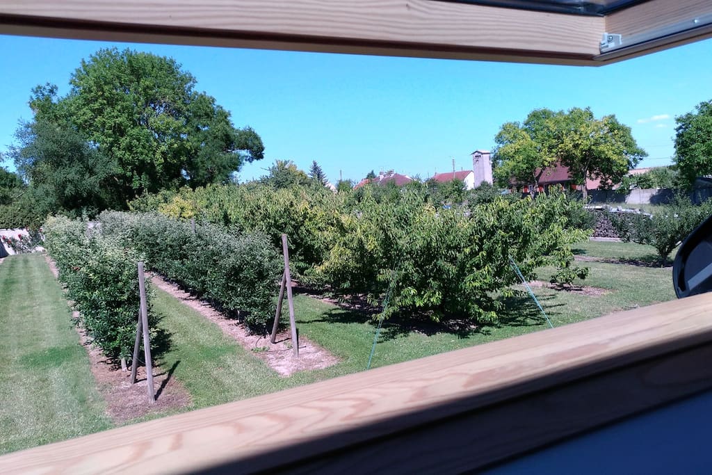 view from the window