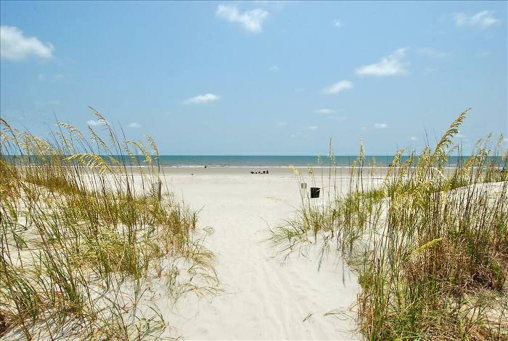 Beach Path in Front of Pool Area