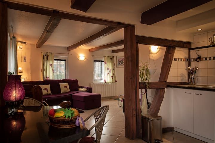 Les gîtes de la Bergeraine, (violet)T. de Belfort.