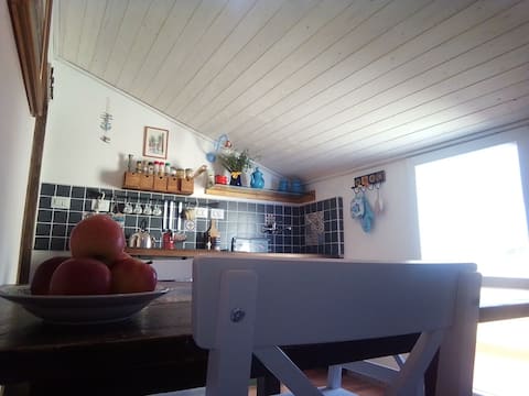 Small House with Terrace