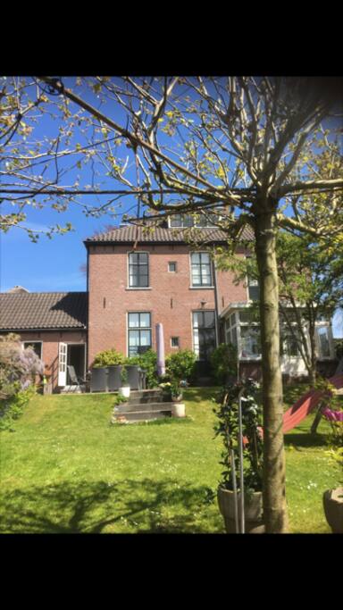 Backgarden
