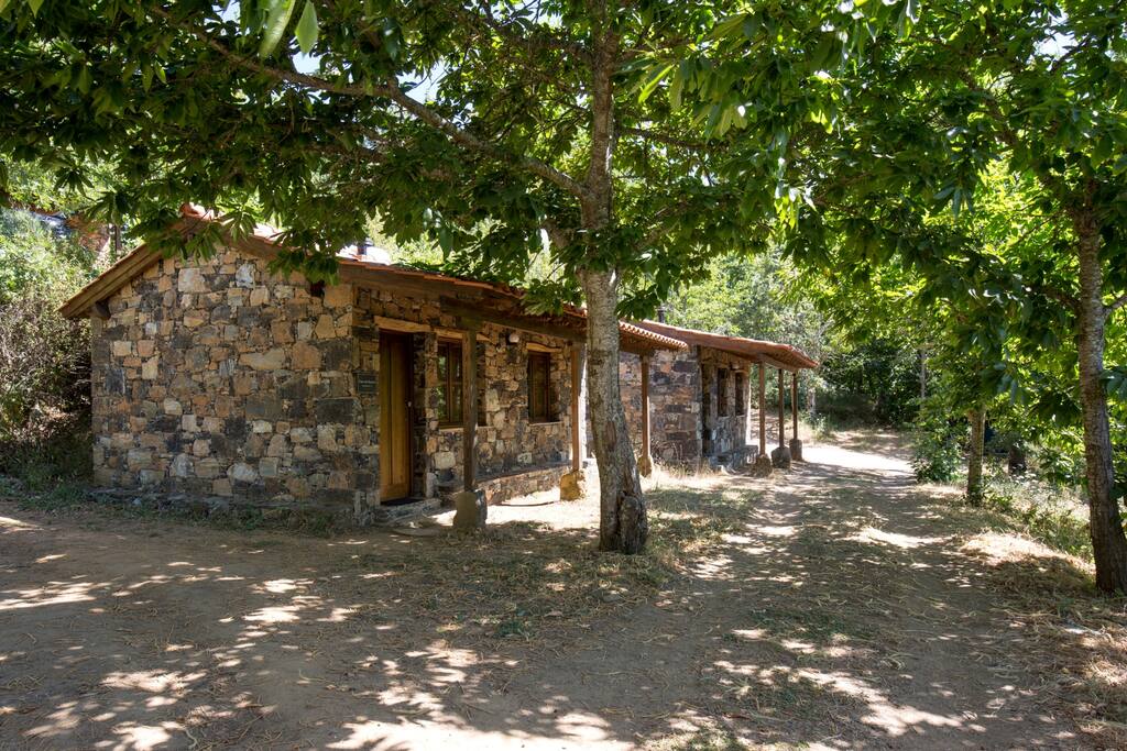 Conjunto de casas