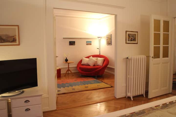 Bel Appartement Au Centre De Genève - Genève
