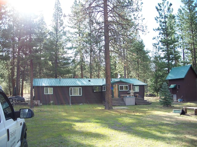Cedar Cabin nestled in the Pines
