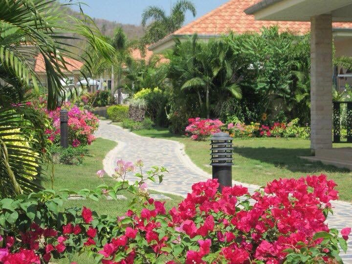 A winding pathway is lined with vibrant bougainvillea flowers in shades of pink. Lush greenery and tropical plants surround the path, contributing to a serene atmosphere. Lighting fixtures are placed along the pathway, leading to neighboring villas with terracotta roofs.
